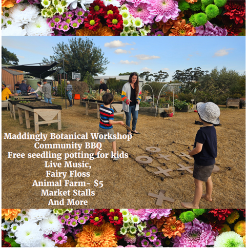 Darley Community Art Garden Spring Fair photo.png