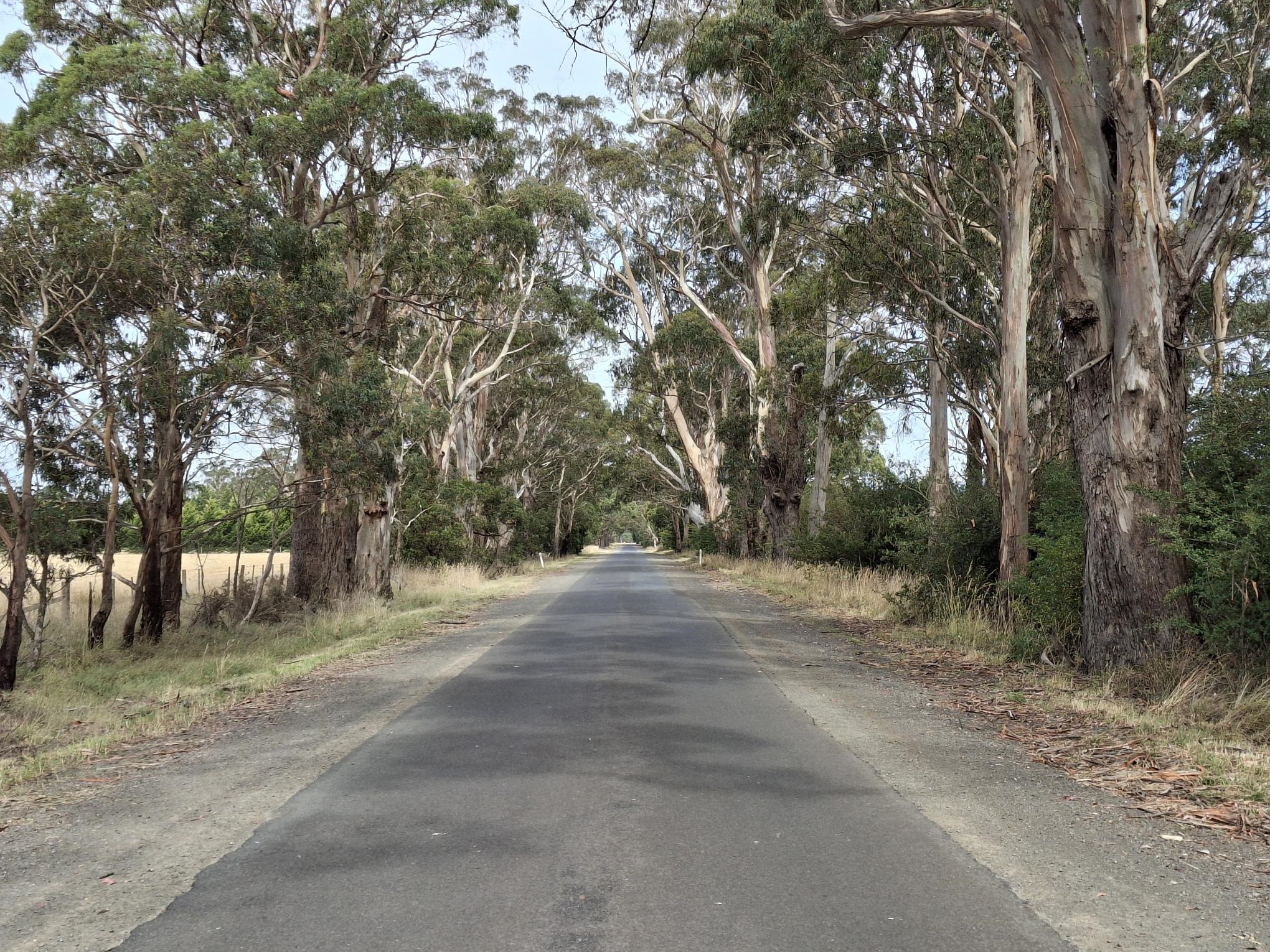 Old-Melb-Road-Millbrook.jpg