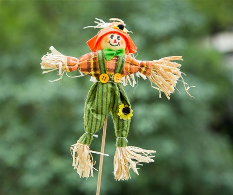 Make a mini scarecrow.jpg