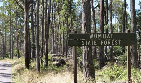 Wombat State Forest